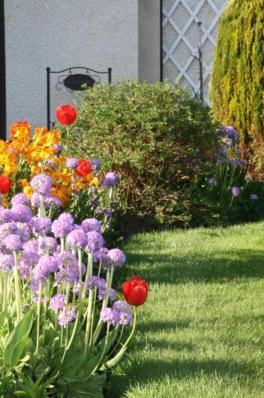 Ken-Mar House Bed And Breakfast Ballymoney Eksteriør bilde